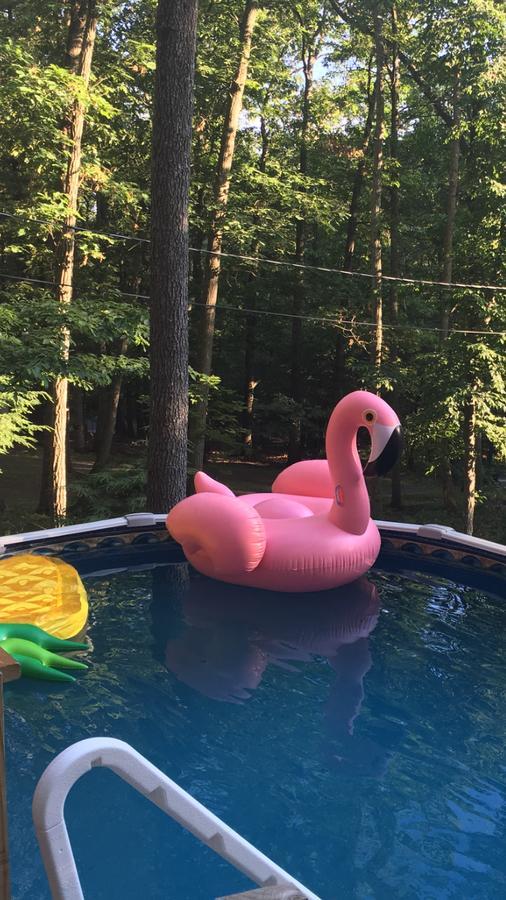 Pocono cabin, PRIVATE pool Shawnee/Camelback East Stroudsburg Esterno foto